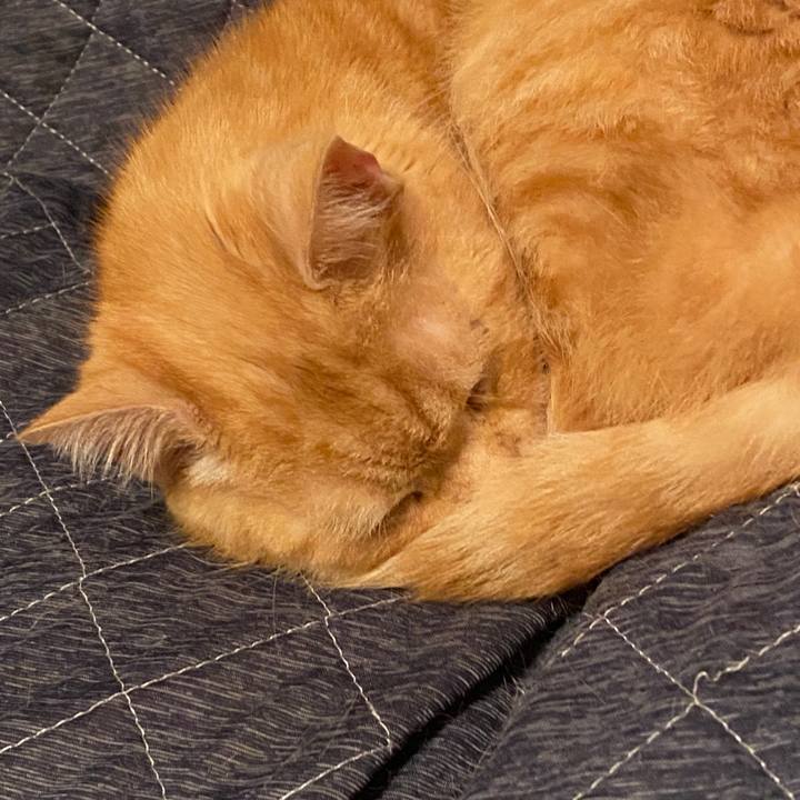 E98020e0 4b90 4640 afba 99798df09f44 1584455405267