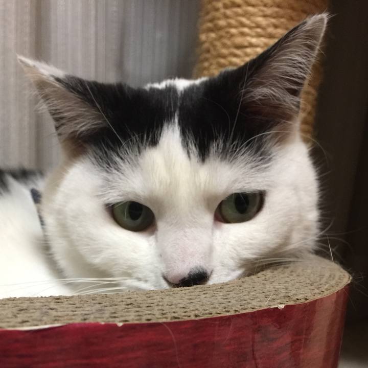 E9809d5c 9d38 4bdb 8cb4 662e960596a4 1511526883958