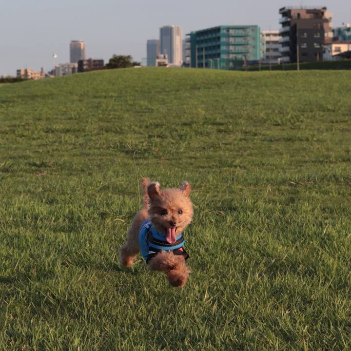 E980cf77 a618 49af b9ca ddea57afc6f1 1627219723717