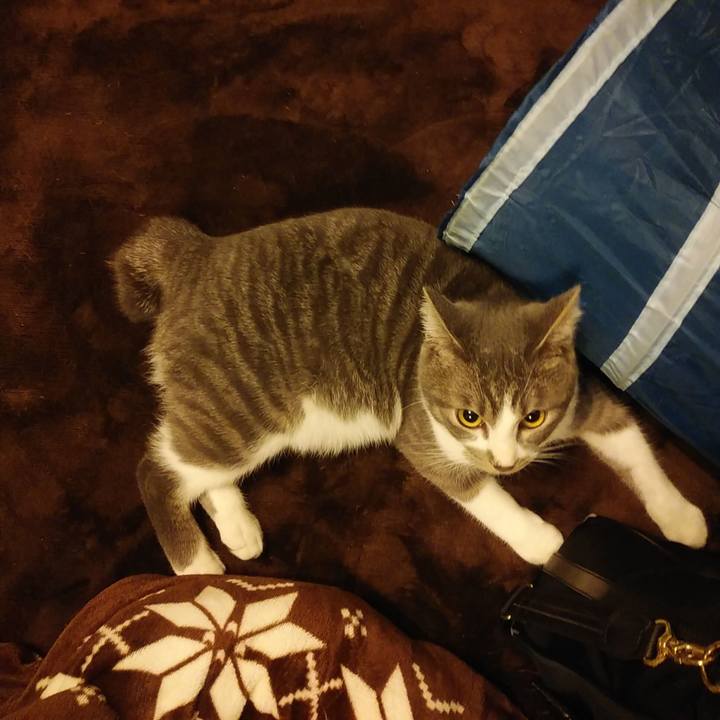 E980e604 549c 44d9 886f e843c230b16c 1577975800073