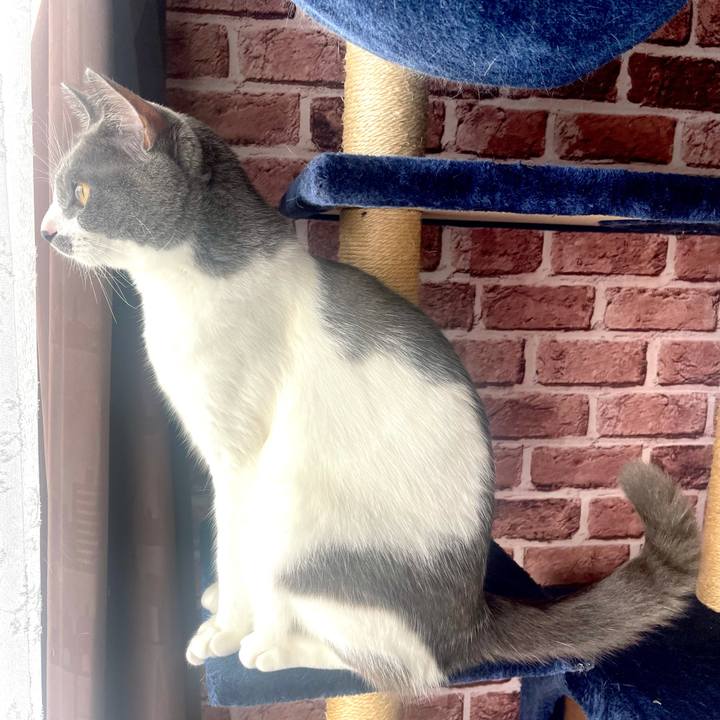 E980e9af 9291 4e94 9858 28f181f1308a 1628726258270