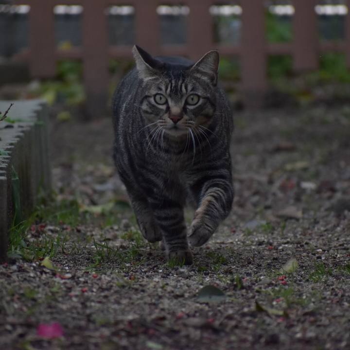 E980f35e f1f2 485d a563 d467d4ad0421 1550376599680