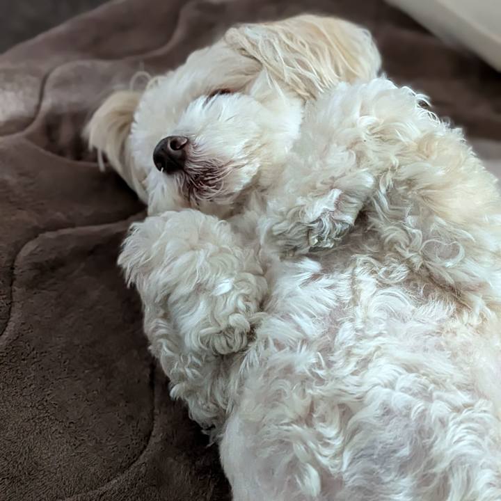 E9810008 c462 4fae 965a 6e5b9f97e039 1767967870789