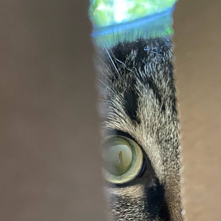 E9811b9b 9fc2 48a7 9c7a 94e9b09c8964 1656764732772