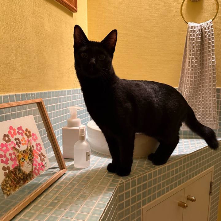 E98133bb f179 4b92 880c 9f3f45c69665 1761603321129