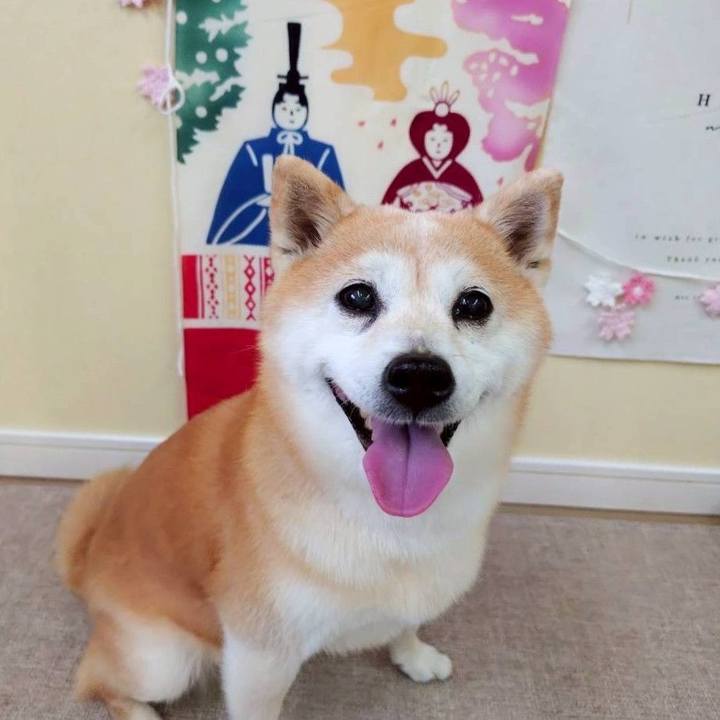 E98151da 3c30 48c1 a490 243dba775b98 1771074099057