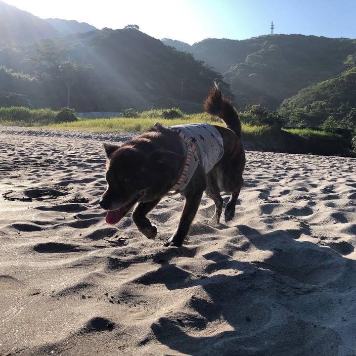 E981723f 4de6 45fc 8de9 1ee72e99ec64 1597710503864