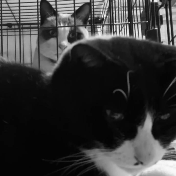 E9819d9e 8d03 428c a7e6 ce3f82b7dedd 1734773910565