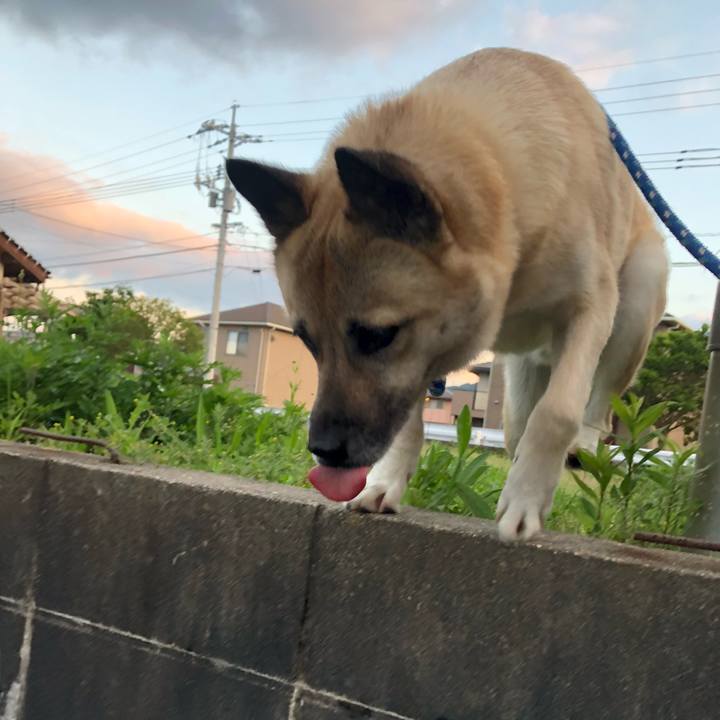 E981cb97 8bea 4342 af07 03dbff285f52 1622116432436