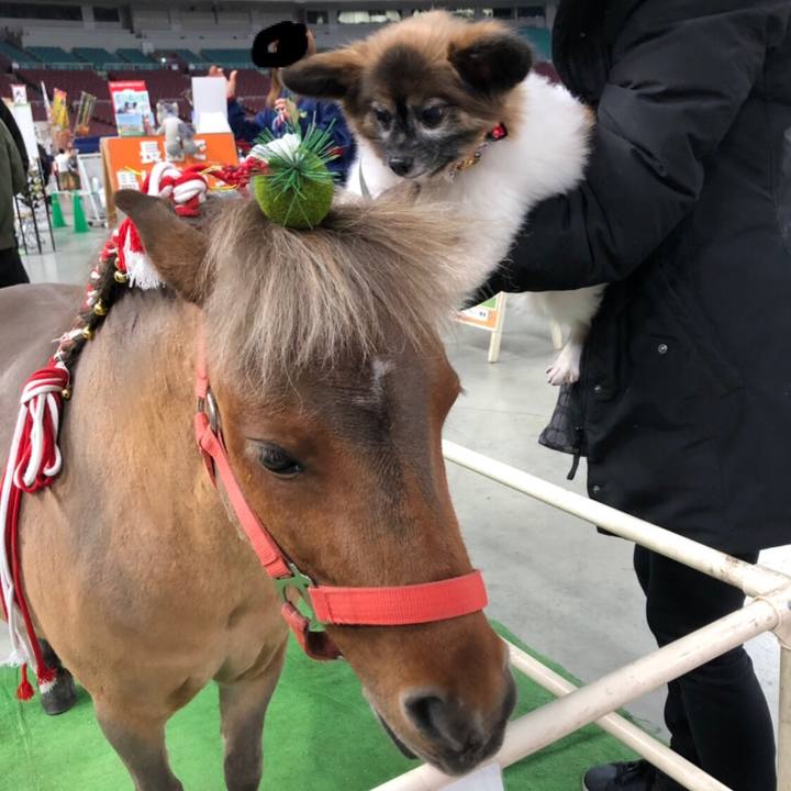 E981daff 53ab 4c07 abd5 788e8c450558 1546796953421