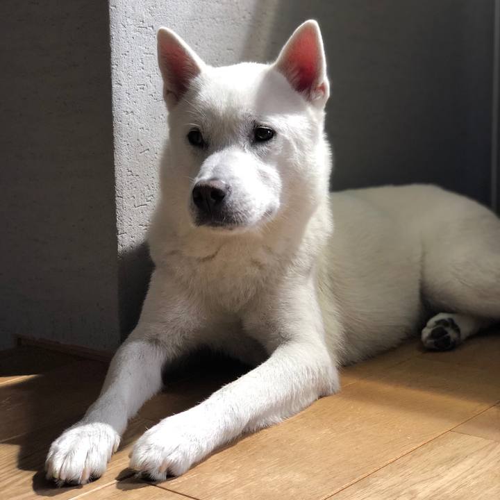 E981e8fb 3faa 47e9 a082 e52199832c7a 1559867291796