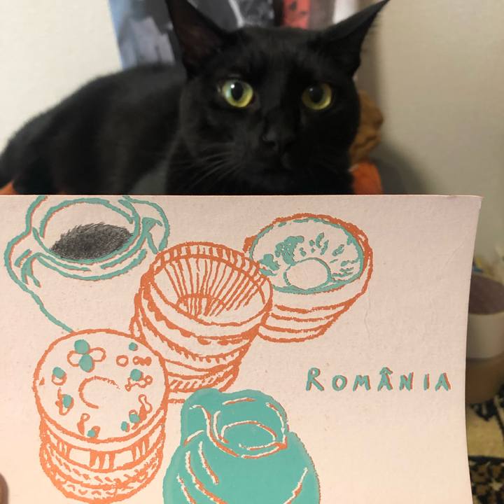 E9823147 9260 41f5 8471 9c872c4c4106 1575591643080