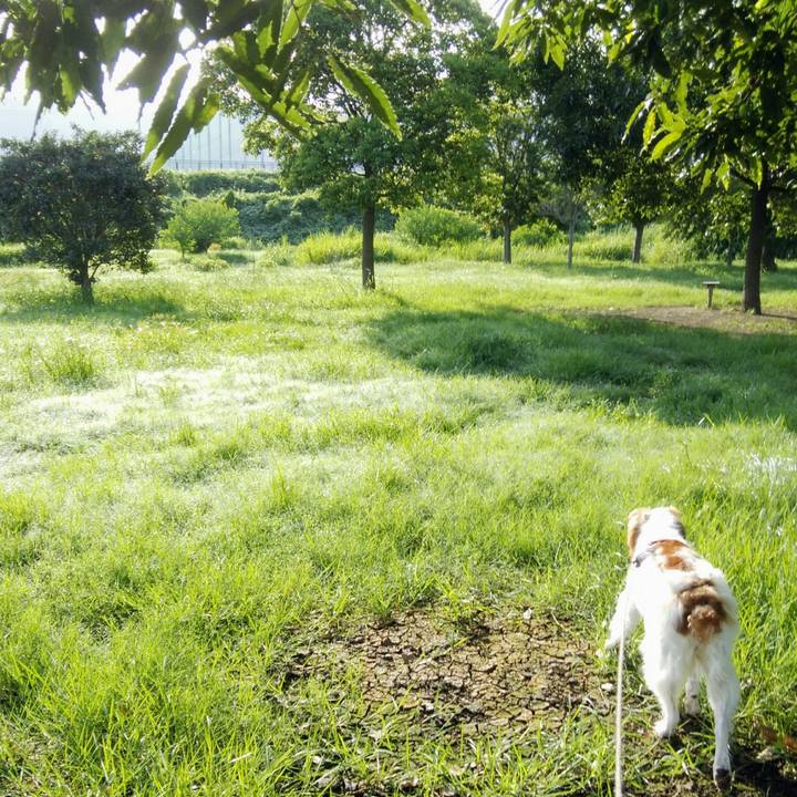 E9826726 471e 4b39 be0d ea711b671d18 1534568018200