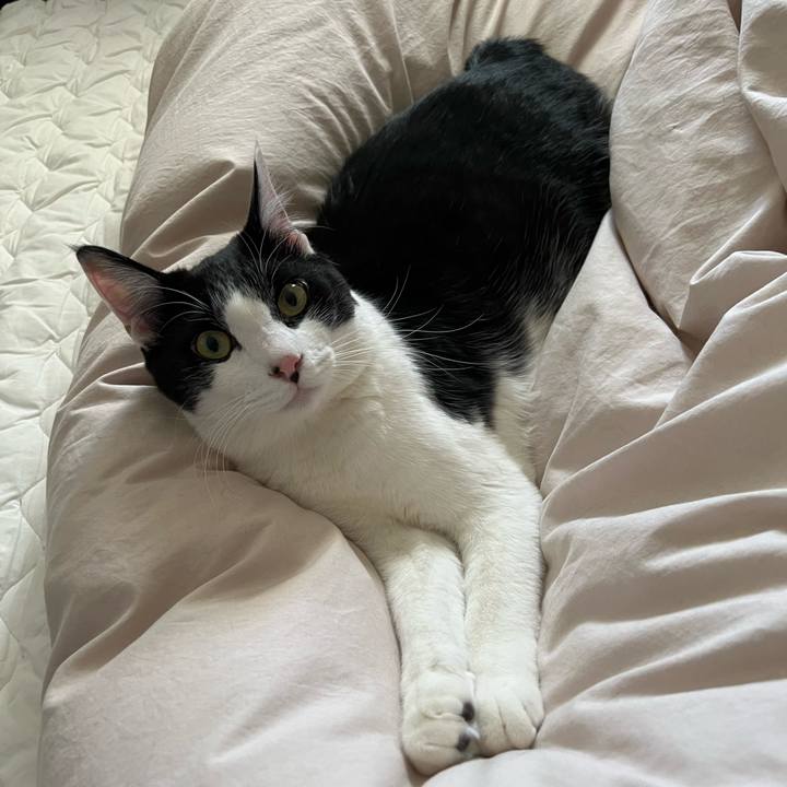 E982a528 3af4 4103 b8c8 a51d495ac3b9 1639354068270