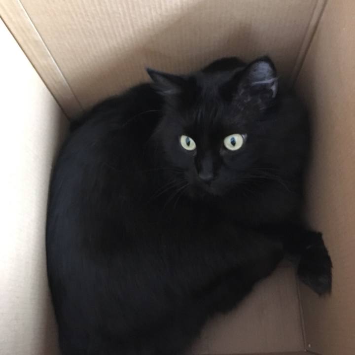 E982bae5 8ba3 4a22 ac23 5cfaa2249d85 1515025709171