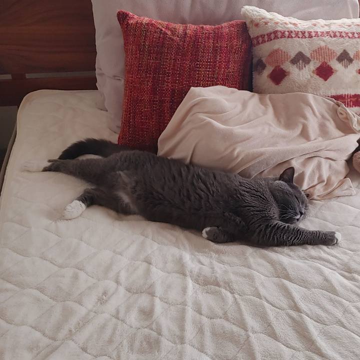 E983299a 36f1 45ff 8b81 abb5695d100c 1732425621282