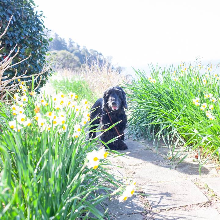 E9833534 a583 4797 89f5 e3ab2fce0bc1 1582869999999