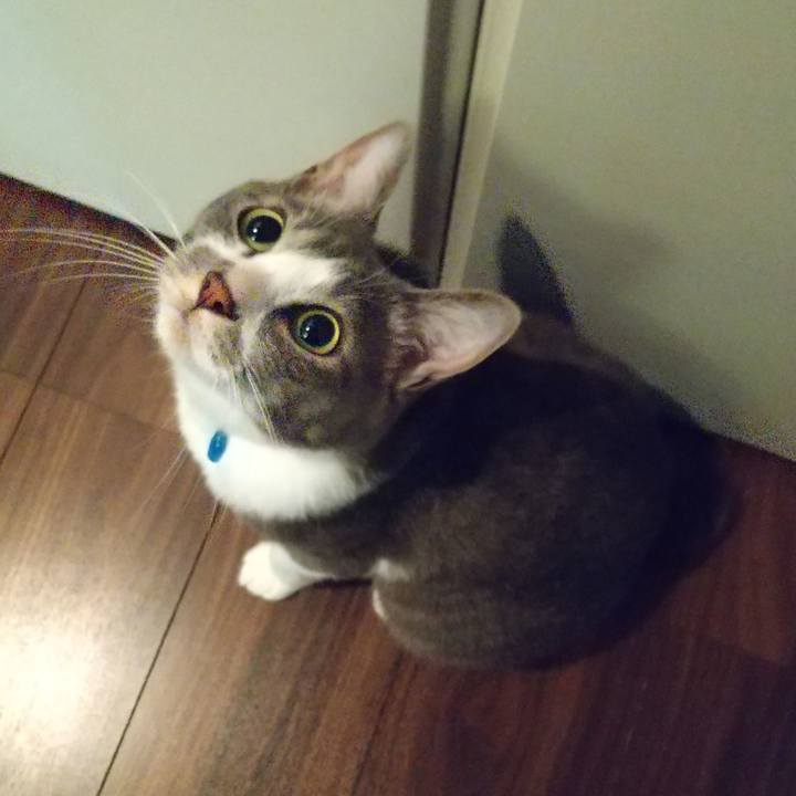 E983455f 05d8 43bd 814b 79a09108bb6d 1617228875538