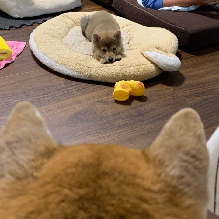 E9837a6c e020 4da7 8fce 0ffce04e175e 1617538121546