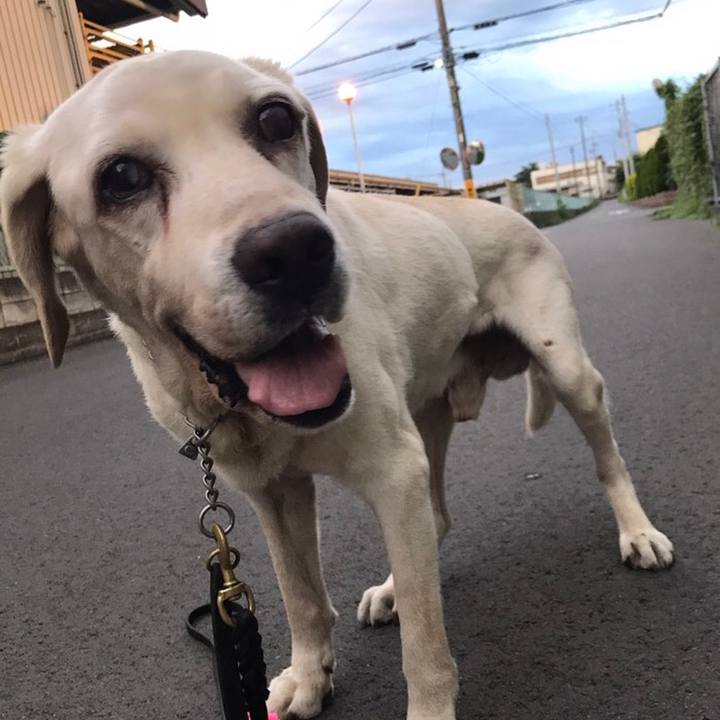 E983863d 8f34 46ef a157 6c86634ce516 1572562750574