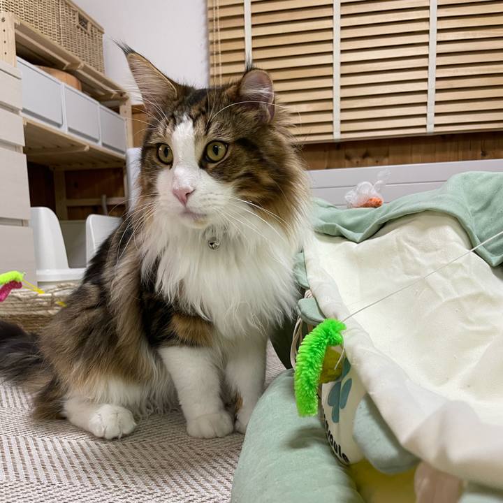 E9840a85 1ff4 436e bda9 32d612f09dcd 1647250129070