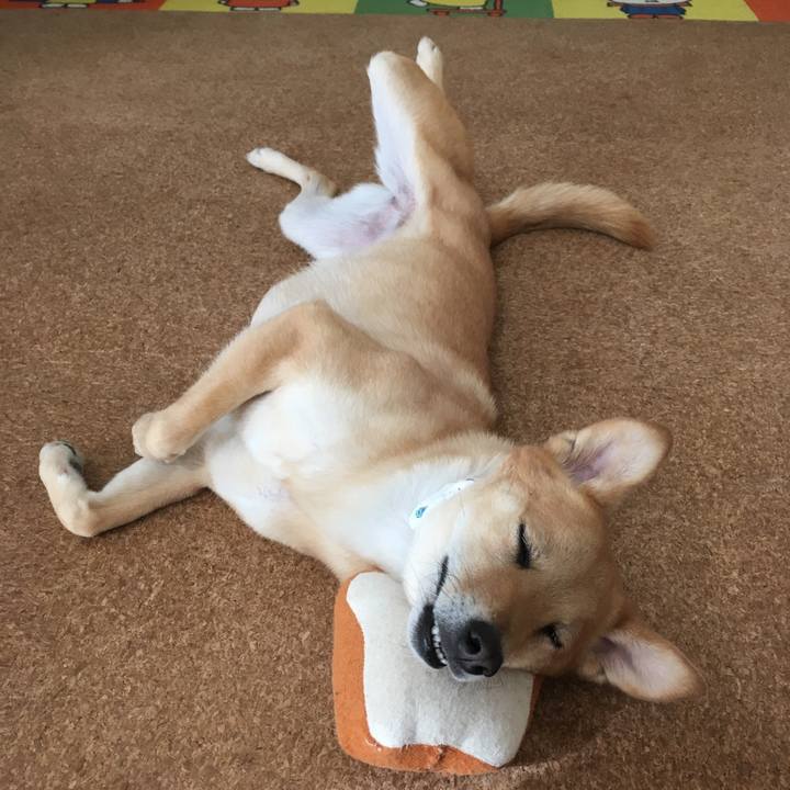 E98412fd b929 462c ae73 12db4ae55fe5 1547168724238