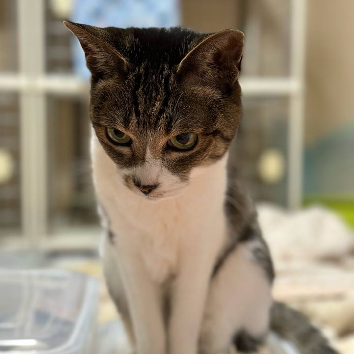 E98429ca 07d4 4b0b ab68 9c07d65eaa50 1682041172857