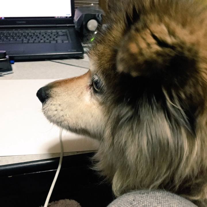 E9846f96 903d 4fb5 aa34 d4054ac9e9ea 1603501107453