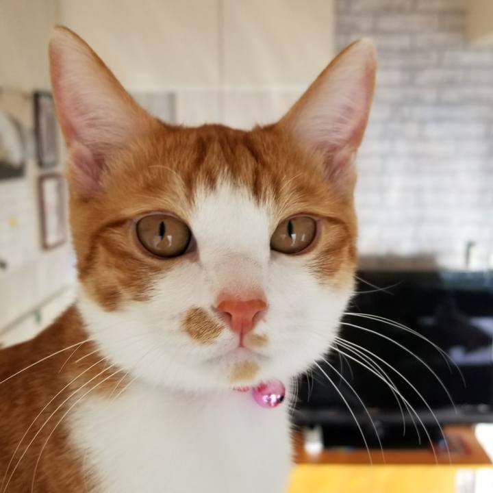 E984715a 4a17 44e7 a5ee 8271aefb4238 1514769204668