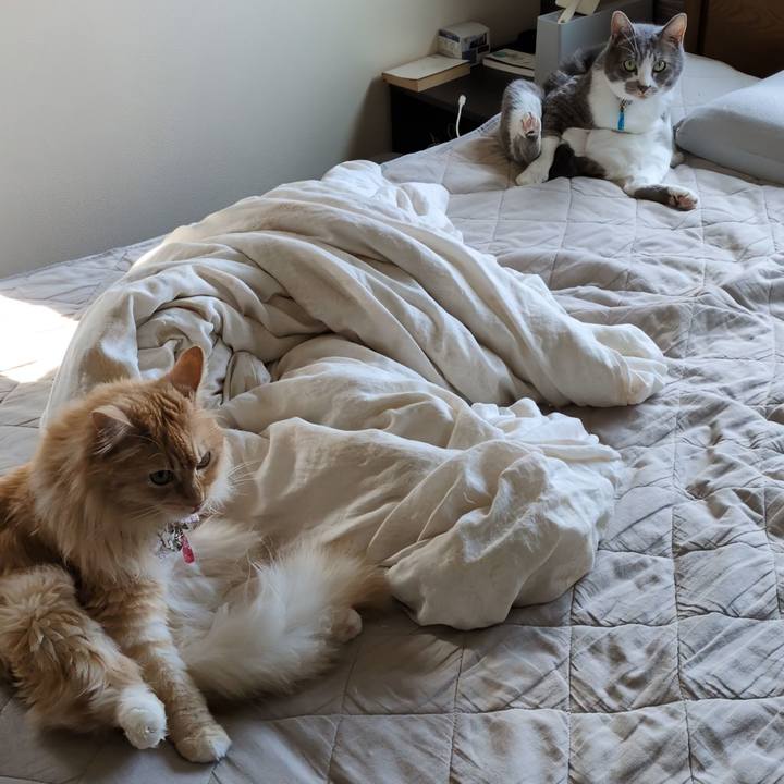 E9847938 0678 41f0 9cce 7b3feb0fcd97 1753698709597