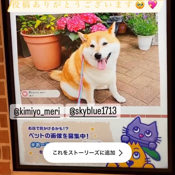 E9848364 f730 4a96 a366 aeecaf009589 1656471677916