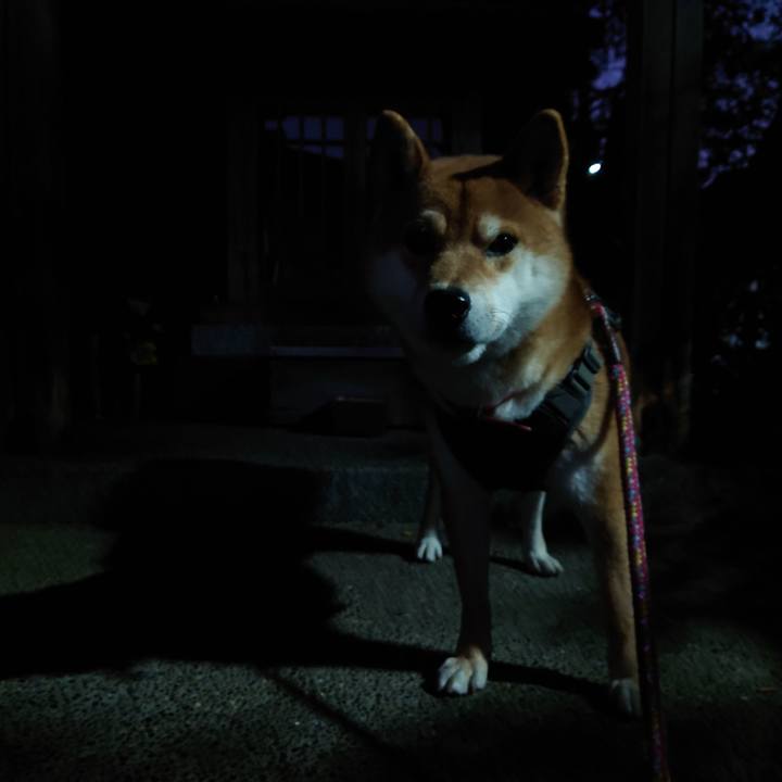 E984b936 8b9f 4373 b7ab 942cefdd552a 1765229171584