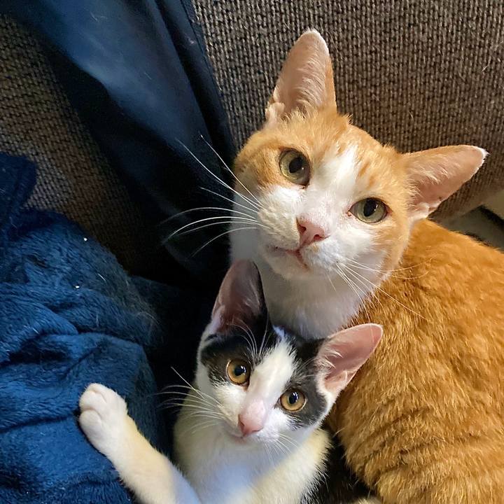 E984eeb9 62ff 4d27 a8cd dd4d7ca29335 1632196723858