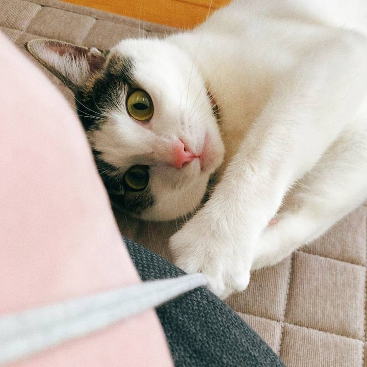 E9853672 e935 4d2e bd99 e91b160e4071 1637826870752