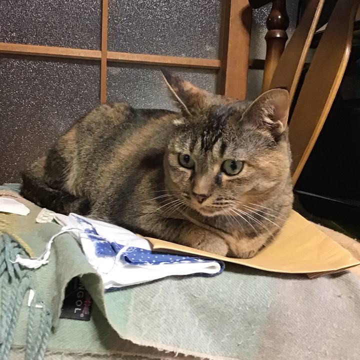 E9854a23 facd 4685 a4b0 50e3b744ca1e 1724830868912