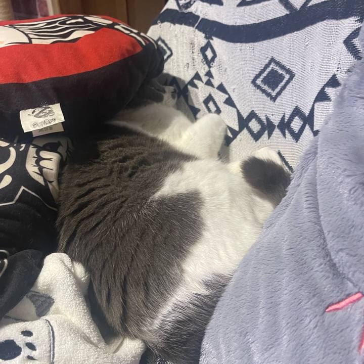 E9854d7b 026d 4daa 83a4 81c4dcd23847 1687442456365