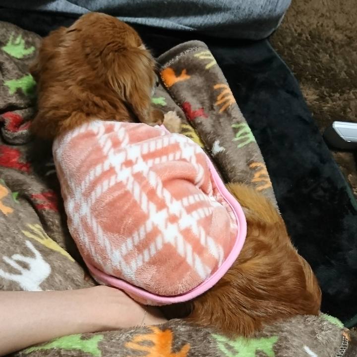 E9855762 252a 4bbd 8533 777cc8fc7b06 1516275264291