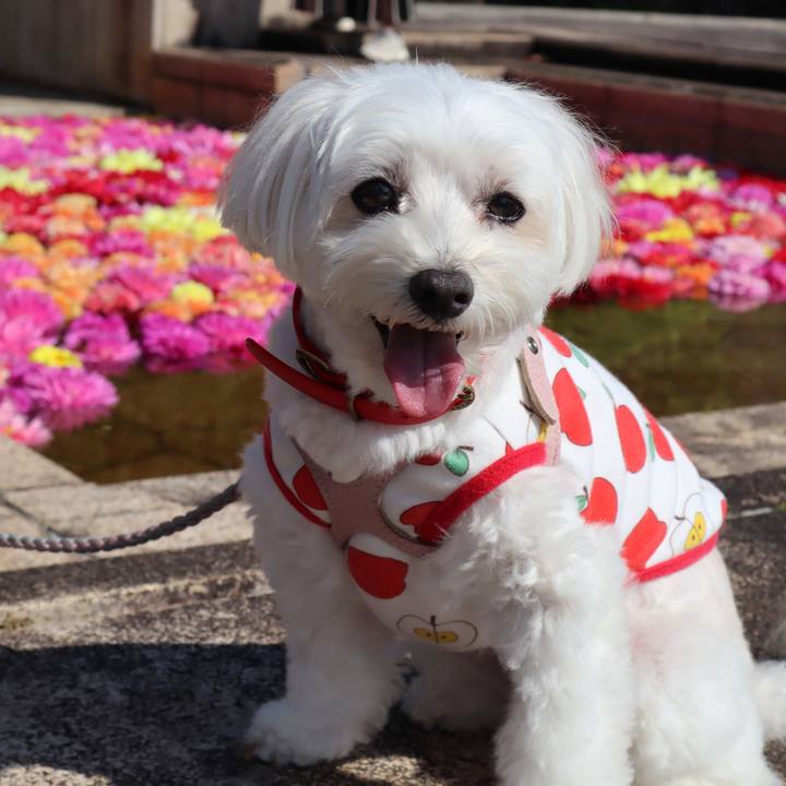 E9859de7 2e32 4e73 bee4 456064b99177 1761994604919