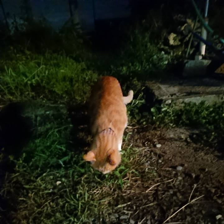 E985a056 c032 4ae5 9c58 ee10eab49e5e 1568284081206