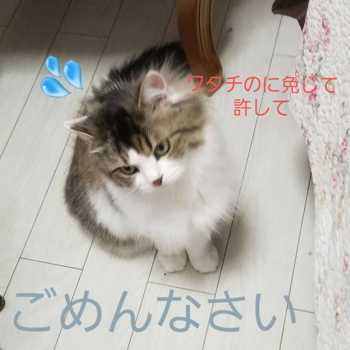 E985dee2 6654 42df 8b99 b27363de4cfc 1561553491909