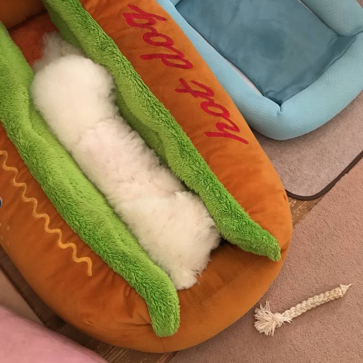 E985e661 3de3 4d59 9be5 42ee23fca864 1562292211672