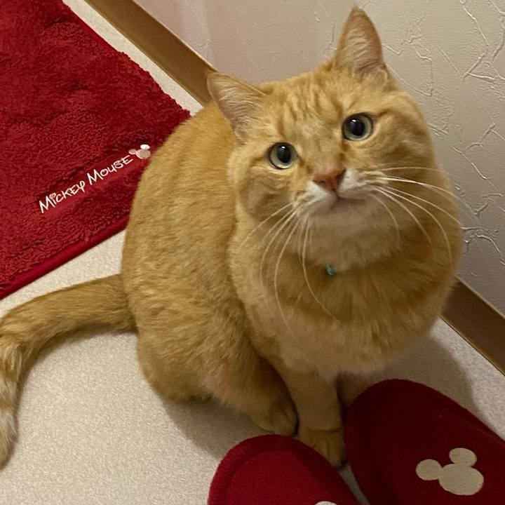 E985f5c0 c46d 4088 8e13 5bfc5a13c6d3 1607148465778