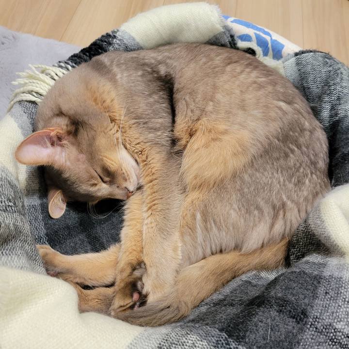 E985fa06 e259 4c13 b155 ef807cd9b75f 1671671811882