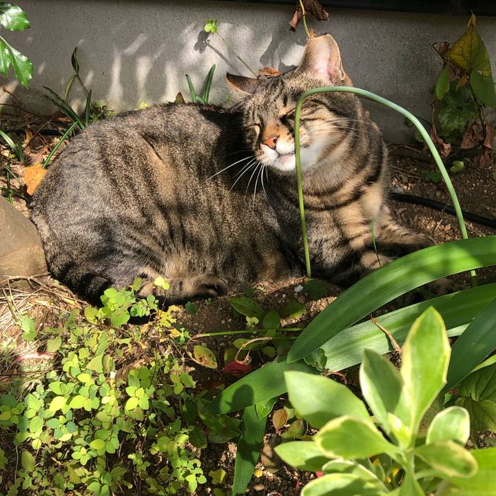 E98643bd 0158 407f 8ba4 762a250cd415 1572689230344