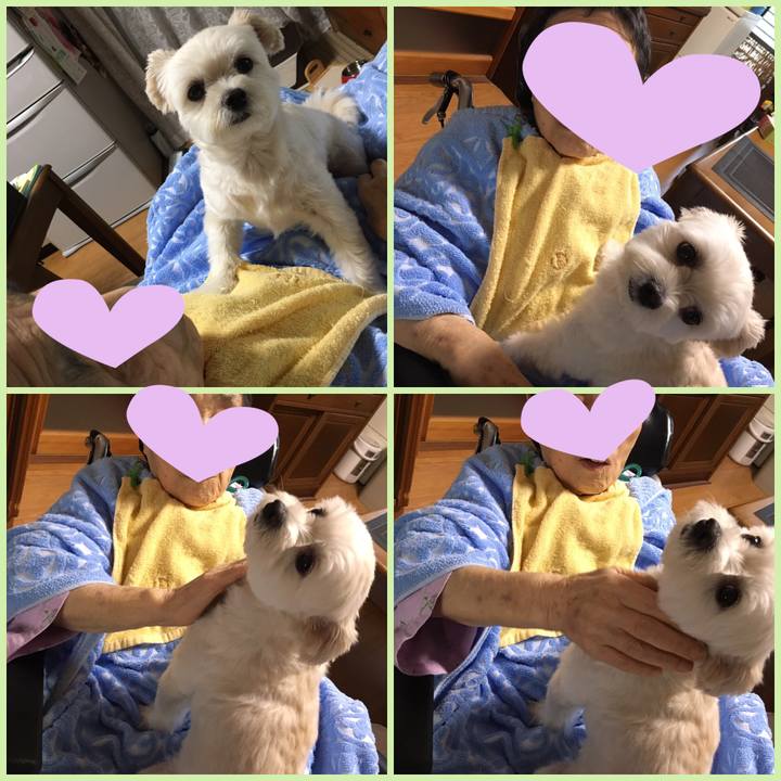 E98645f7 b205 45f3 b72a 28e3d8b8faf6 1565575491017