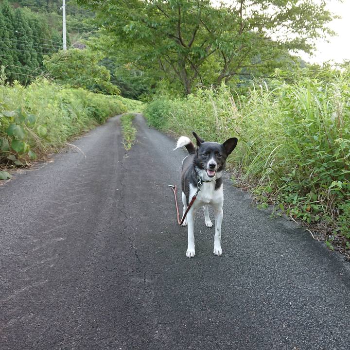 E9865024 92e4 47b3 b9e7 25ad9dbcd626 1530439511413