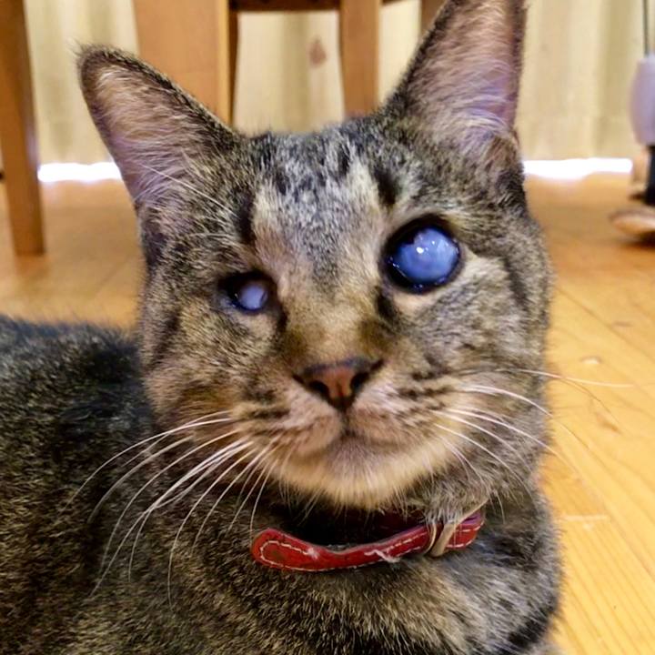 E9866be6 8304 427f 875a 8c56bd1b8b82 1536492055548