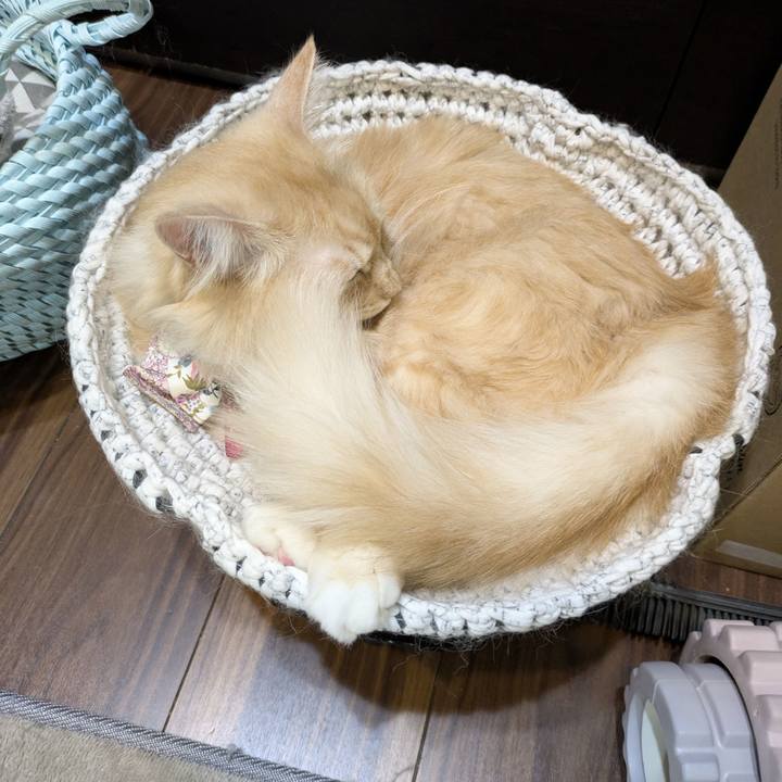 E9868b23 1d12 48bc 921f 972f130fc775 1758897559935