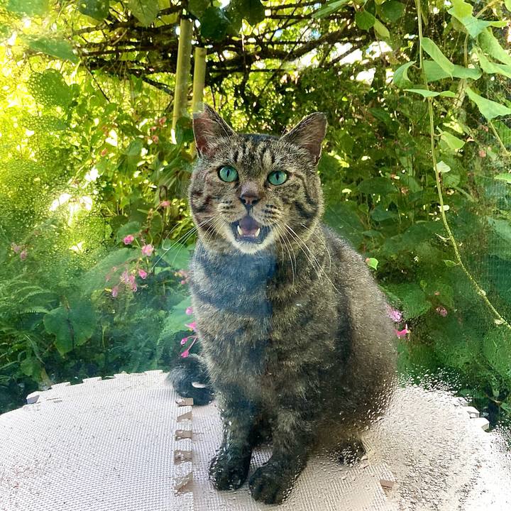 E986c11b 43e0 4907 9279 f41c2af324d7 1661732560550