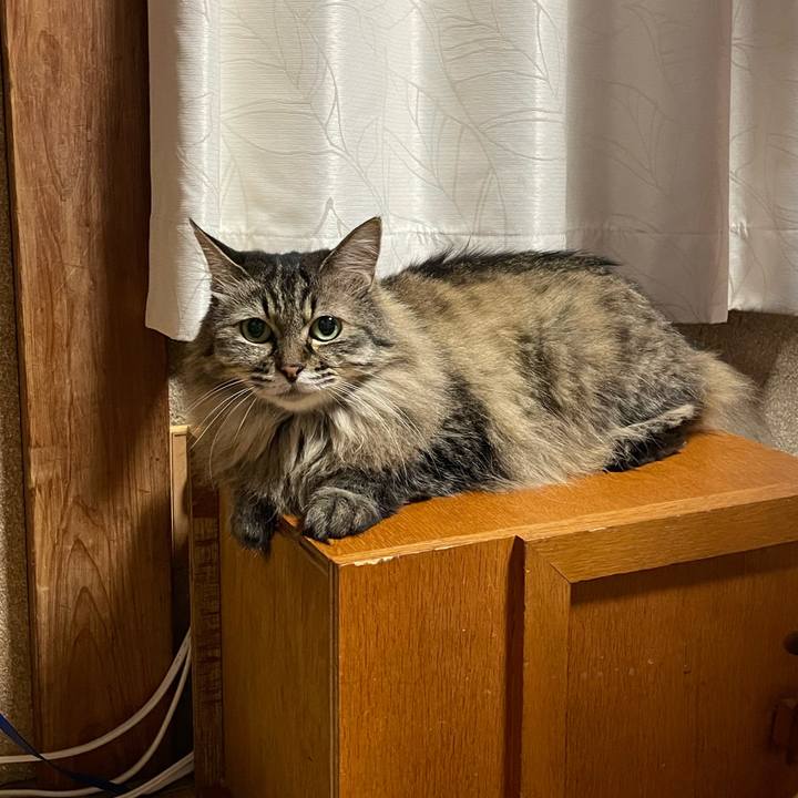 E986dbfe 62d1 41ba a51c 246a99cf606b 1755225584765